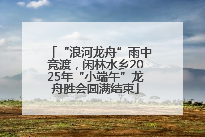 “浪河龙舟”雨中竞渡，闲林水乡2025年“小端午”龙舟胜会圆满结束