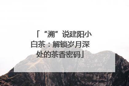 “溯”说建阳小白茶：解锁岁月深处的茶香密码