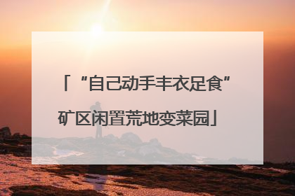 “自己动手丰衣足食”矿区闲置荒地变菜园