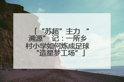 “苏超”主力 “溯源” 记：一所乡村小学如何炼成足球 “造星梦工场”