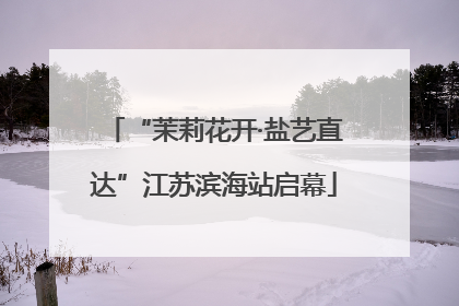 “茉莉花开·盐艺直达”江苏滨海站启幕