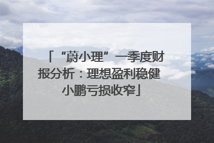 “蔚小理”一季度财报分析：理想盈利稳健 小鹏亏损收窄