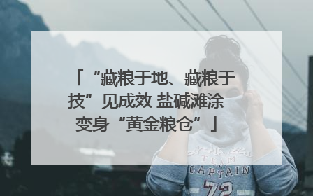 “藏粮于地、藏粮于技”见成效 盐碱滩涂变身“黄金粮仓”