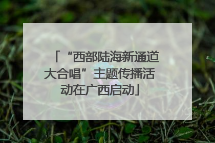 “西部陆海新通道大合唱”主题传播活动在广西启动