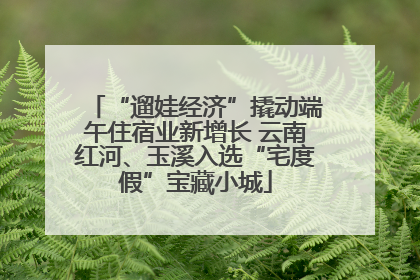 “遛娃经济”撬动端午住宿业新增长 云南红河、玉溪入选“宅度假”宝藏小城