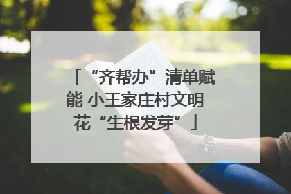 “齐帮办”清单赋能 小王家庄村文明花“生根发芽”