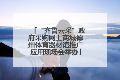 “齐鲁云采”政府采购网上商城德州体育器材馆推广应用现场会举办