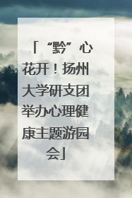 “黔”心花开！扬州大学研支团举办心理健康主题游园会