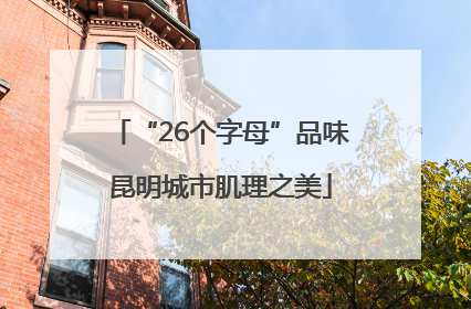“26个字母”品味昆明城市肌理之美