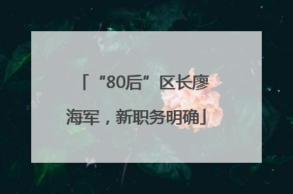 “80后”区长廖海军，新职务明确