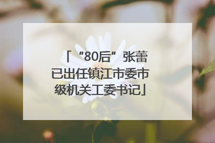 “80后”张蕾已出任镇江市委市级机关工委书记