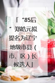 “85后”郑皓元拟提名为辽宁地级市县（市、区）长候选人