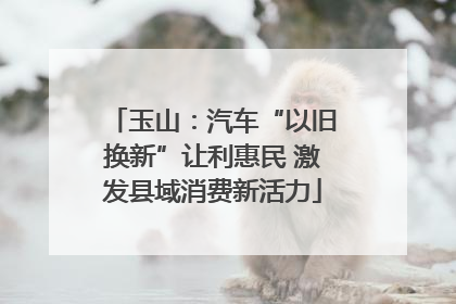 玉山：汽车“以旧换新”让利惠民 激发县域消费新活力