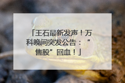 王石最新发声！万科晚间突发公告：“售股”回血！
