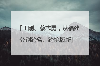 王刚、蔡志勇，从福建分别跨省、跨境履新