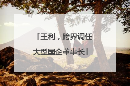 王利，跨界调任大型国企董事长