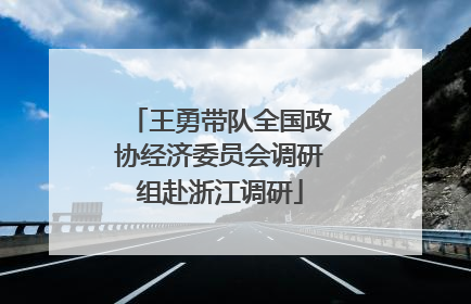 王勇带队全国政协经济委员会调研组赴浙江调研