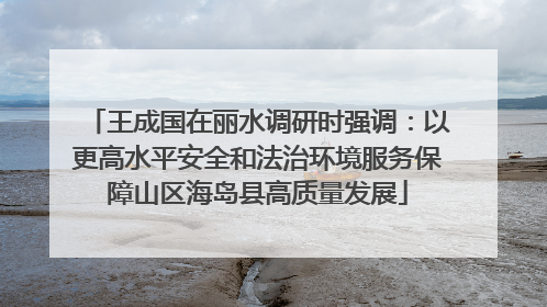 王成国在丽水调研时强调：以更高水平安全和法治环境服务保障山区海岛县高质量发展