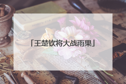 王楚钦将大战雨果