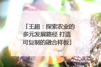 王超：探索农业的多元发展路径 打造可复制的融合样板