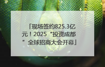 现场签约825.3亿元！2025“投资成都”全球招商大会开幕