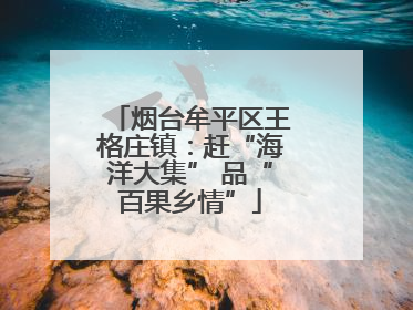 烟台牟平区王格庄镇：赶“海洋大集” 品“百果乡情”
