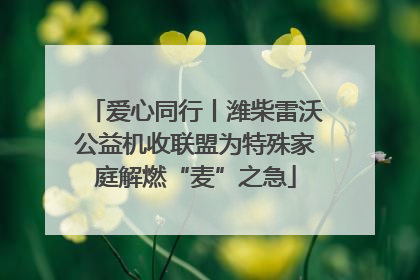 爱心同行丨潍柴雷沃公益机收联盟为特殊家庭解燃“麦”之急