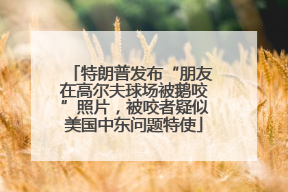 特朗普发布“朋友在高尔夫球场被鹅咬”照片，被咬者疑似美国中东问题特使