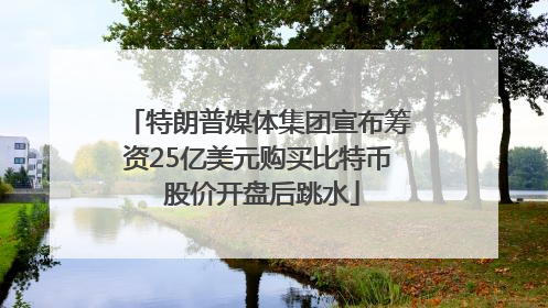 特朗普媒体集团宣布筹资25亿美元购买比特币 股价开盘后跳水