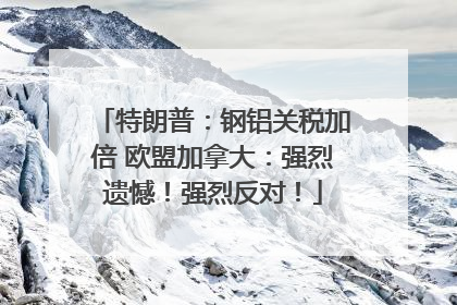 特朗普：钢铝关税加倍 欧盟加拿大：强烈遗憾！强烈反对！