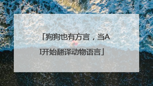 狗狗也有方言，当AI开始翻译动物语言