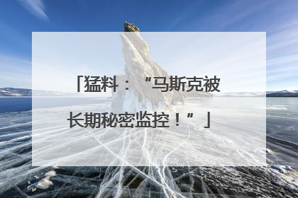 猛料：“马斯克被长期秘密监控！”