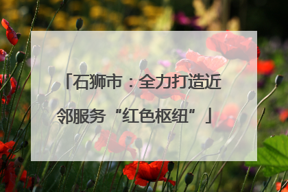 石狮市：全力打造近邻服务“红色枢纽”