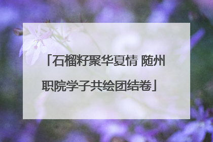 石榴籽聚华夏情 随州职院学子共绘团结卷