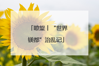 瞭望丨“世界镁都”治乱记