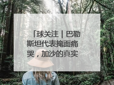 球关注｜巴勒斯坦代表掩面痛哭，加沙的真实现状让人痛心