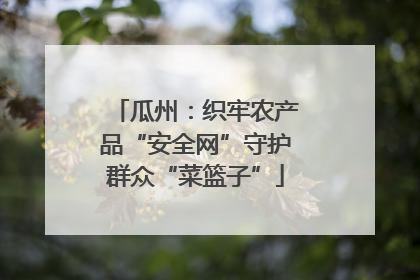 瓜州：织牢农产品“安全网”守护群众“菜篮子”