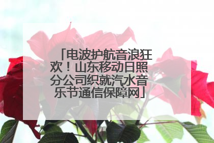 电波护航音浪狂欢！山东移动日照分公司织就汽水音乐节通信保障网