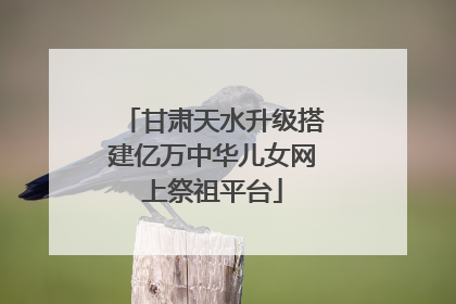 甘肃天水升级搭建亿万中华儿女网上祭祖平台