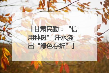 甘肃民勤：“信用种树” 汗水浇出“绿色存折”