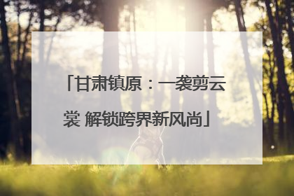 甘肃镇原：一袭剪云裳 解锁跨界新风尚