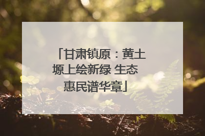 甘肃镇原：黄土塬上绘新绿 生态惠民谱华章