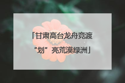 甘肃高台龙舟竞渡“划”亮荒漠绿洲