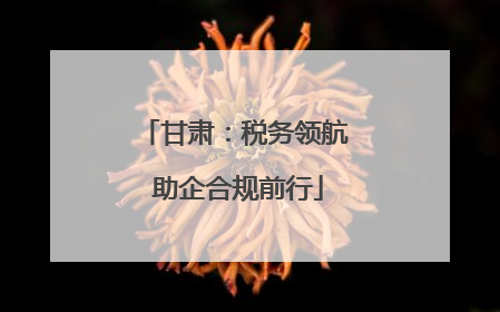 甘肃：税务领航 助企合规前行