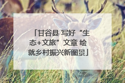 甘谷县 写好“生态+文旅”文章 绘就乡村振兴新图景