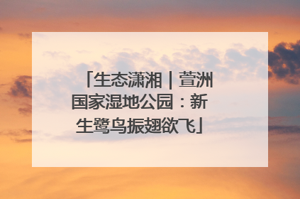 生态潇湘｜萱洲国家湿地公园：新生鹭鸟振翅欲飞