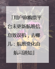 用户称购票平台未更新航班信息致误机，去哪儿：航班变化由航司通知