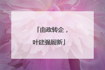 由政转企，叶建强履新