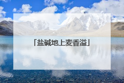 盐碱地上麦香溢