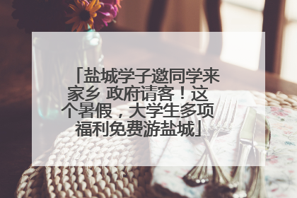 盐城学子邀同学来家乡 政府请客！这个暑假，大学生多项福利免费游盐城